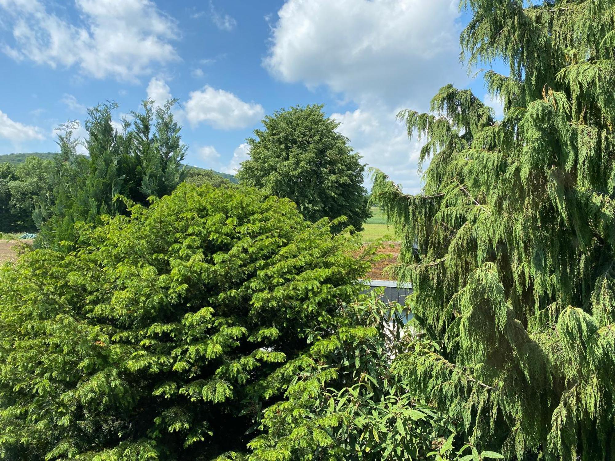 Ferien- Und Messewohnung In Idyllischer Lage 北施泰门 外观 照片